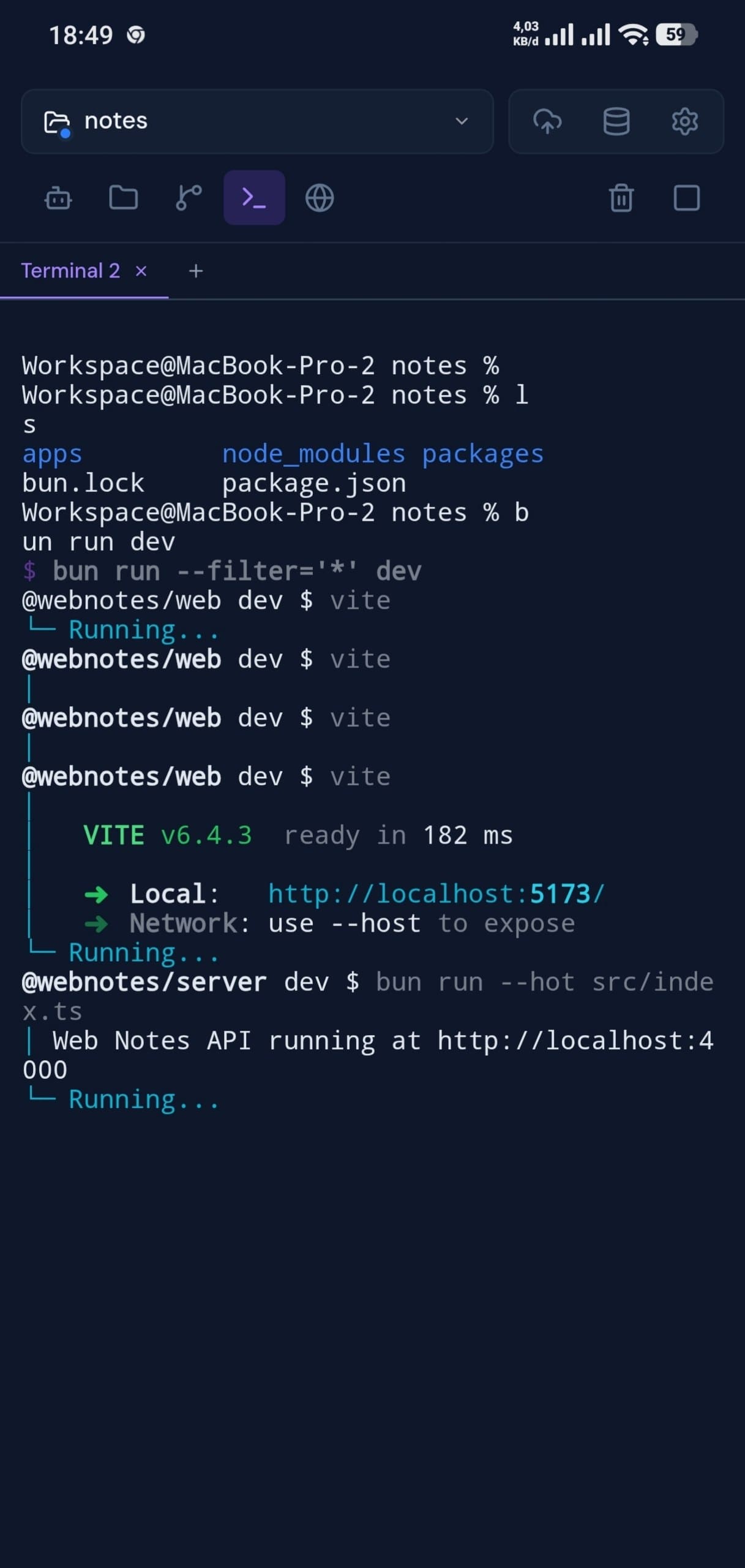 Clopen terminal panel on a mobile browser showing a running dev server